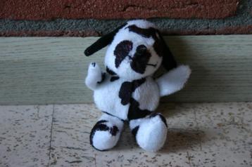 Hondje zwart-wit koevlekken beschikbaar voor biedingen