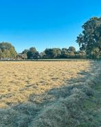 Midibalen hooi te koop, Ophalen