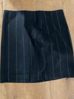 Rok van Erny van Reijmersdal, maat 36, dames, Kleding | Dames, Ophalen of Verzenden, Zo goed als nieuw, Maat 36 (S), Grijs
