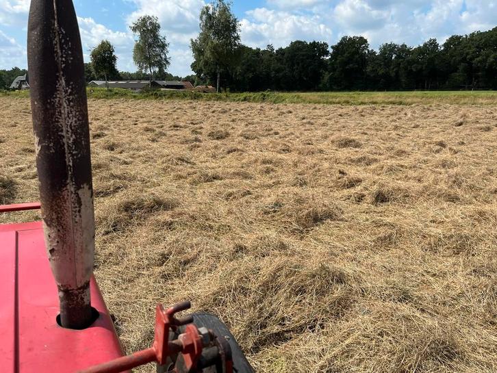 Te kleine baaltjes hooi, Dieren en Toebehoren, Dierenvoeding, Vee, Ophalen