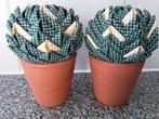2x terra cotta aardewerk potje met kunst cactus. Stof, Ophalen of Verzenden, Nieuw, Binnen