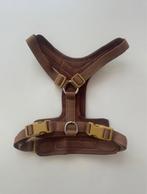 Honden tuig - kleine hond, Ophalen of Verzenden, Nieuw