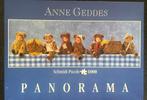 Anne Geddes Panorama Puzzel 1000 stukjes, Ophalen of Verzenden, Zo goed als nieuw