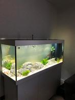 Juwel rio 450 led, Dieren en Toebehoren, Vissen | Aquaria en Toebehoren, Ophalen, Zo goed als nieuw, Leeg aquarium