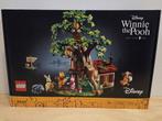 (GESEALD) Lego 21326 Winnie the Pooh (2), Kinderen en Baby's, Speelgoed | Duplo en Lego, Ophalen of Verzenden, Nieuw, Complete set