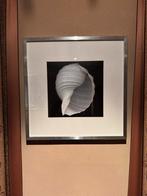 Drieluik lijsten met afbeeling schelpen, Huis en Inrichting, Woonaccessoires | Lijsten, Ophalen, Zo goed als nieuw, Hout, Minder dan 50 cm