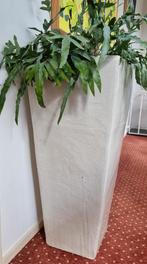 Bloempot 90cm hoog, geglazuurd aardewerk, kleur lichtgrijs, Tuin en Terras, Bloembakken en Plantenbakken, Steen, Gebruikt, Vierkant