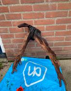 Aquariumhout kienhout XXL, Ophalen of Verzenden, Zo goed als nieuw, Plant(en), Steen of Hout