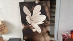 Gratis canvas, Eenpersoons, Wit, Ophalen of Verzenden, 80 cm