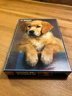 Puzzel 1000 stukjes Golden Retriever puppy, Ophalen of Verzenden, 500 t/m 1500 stukjes, Zo goed als nieuw, Legpuzzel