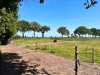 Stalling voor koudbloedige ruin/merrie en/of shet, Dieren en Toebehoren, Stalling en Weidegang, Stalling
