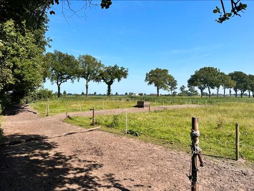 Stalling voor koudbloedige ruin/merrie en/of shet, Dieren en Toebehoren, Stalling en Weidegang, Stalling