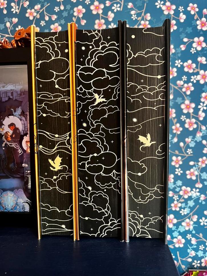 Fourth wing, Boeken, Fantasy, Zo goed als nieuw, Ophalen of Verzenden