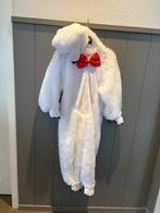 IJsbeer pak Carnaval, Ophalen of Verzenden, Zo goed als nieuw, 104 of kleiner, Jongen of Meisje