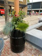 Olievat Bloembak / Plantenbak - Stoer & Uniek!, Ophalen