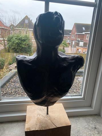 Grote buste beschikbaar voor biedingen