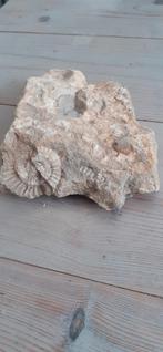 Fossiel Ameriet, Ophalen of Verzenden, Overige typen