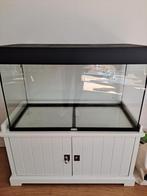 Hamster scaping terrarium met kastje, Dieren en Toebehoren, Knaagdieren en Konijnen | Hokken en Kooien, Kooi, Minder dan 75 cm
