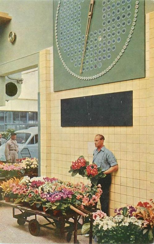(379-237-039) Aalsmeer, Verzamelen, Ansichtkaarten | Nederland, Noord-Holland, Verzenden