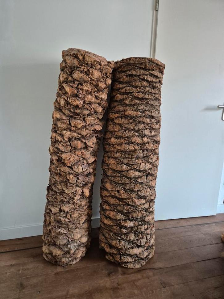 Palmstammen 140x38, Huis en Inrichting, Overige Huis en Inrichting, Ophalen of Verzenden
