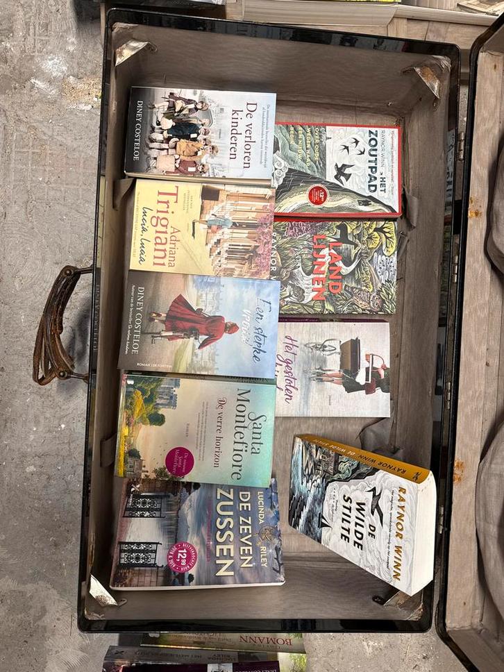 Boekenpakket Diverse Auteurs, Boeken, Romans, Gelezen, Nederland, Ophalen