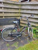 Batavus Traversa damesfiets 57cm framemaat, 56 cm of meer, Ophalen, Gebruikt, Batavus