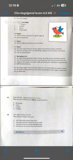 cito toetsen 2026, Ophalen, Zo goed als nieuw, Overige niveaus, Nederlands