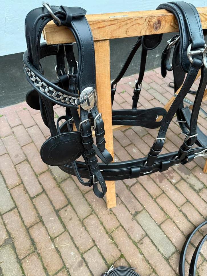 Zwart Enkelspan tuig, Dieren en Toebehoren, Paarden en Pony's | Hoofdstellen en Tuigage, Nieuw, Ophalen of Verzenden
