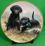 Wandbordje met labradors, Ophalen of Verzenden