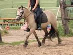 Lease pony, Ruiter of Bijrijder