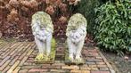 Betonnen leeuwen hoogte 50 cm, Tuin en Terras, Ophalen, Gebruikt, Beton, Dierenbeeld