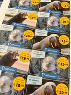 Kortingspassen dolfinarium, Tickets en Kaartjes, Drie personen of meer, Overige typen