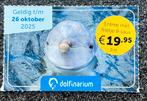 Korting Dolfinarium + frietje € 19,95, Drie personen of meer, Kortingskaart