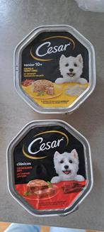 Nieuw hondenvoer, Ophalen of Verzenden, Hond