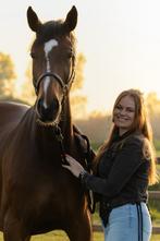 6 jarige zangersheide merrie, Dieren en Toebehoren, Paarden, Merrie, Springpaard, Gechipt, L