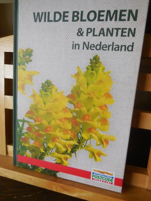 Wilde bloemen en planten + Wilde dieren en paddenstoelen, Boeken, Overige Boeken, Nieuw, Ophalen of Verzenden