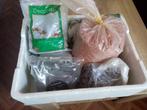 Decoratie grind/stenen, Dieren en Toebehoren, Ophalen, Plant(en), Steen of Hout
