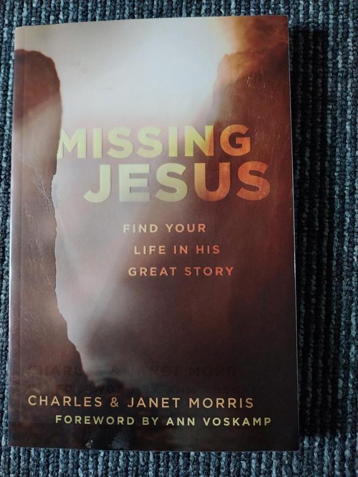 Missing Jesus - Charles & Janet Morris, Boeken, Godsdienst en Theologie, Gelezen, Christendom | Protestants, Ophalen of Verzenden