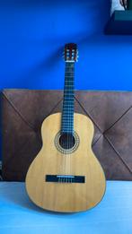 Motion TC901 gitaar, Muziek en Instrumenten, Ophalen, Zo goed als nieuw, Klassieke of Spaanse gitaar