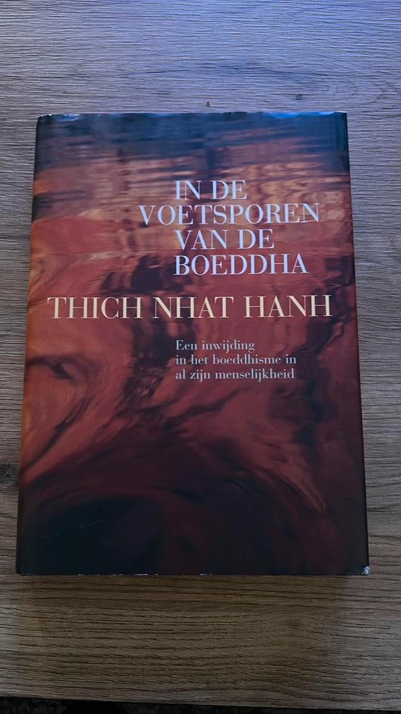 Thich Nhat Hahn - In de voetsporen van de Boeddha, Boeken, Godsdienst en Theologie, Zo goed als nieuw, Boeddhisme, Ophalen of Verzenden