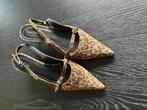 Dante 6 slingbacks 39 pumps, Kleding | Dames, Schoenen, Ophalen of Verzenden, Zo goed als nieuw