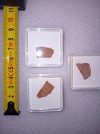 Dinosaurus ei schaaltjes, Ophalen of Verzenden