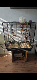 Kooi met toebehoren, Dieren en Toebehoren, Vogels | Hokken en Kooien, Ophalen, Zo goed als nieuw, Kunststof, Vogelkooi