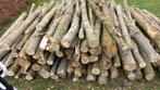 Rondhout Stamhout te koop!, Tuin en Terras, Stammen, Ophalen of Verzenden, Overige houtsoorten