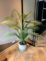 Kunst Palmboom 160cm - Realistisch en Decoratief, Ophalen, Palm, Halfschaduw, In pot
