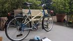 Toer/sportfiets, Vittorio, Rohloff naaf en riem, 26 inch, 10 tot 15 versnellingen, Zo goed als nieuw, 50 tot 53 cm