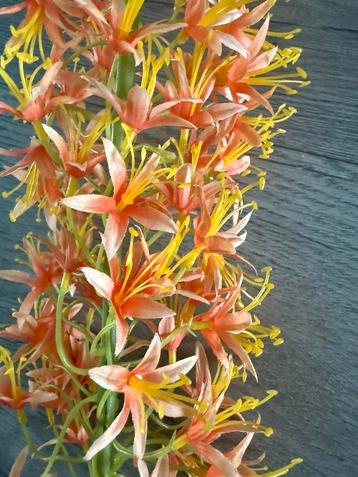 Silk-Ka kunstbloem Eremurus oranje 104 cm beschikbaar voor biedingen