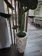 Schelpenvaas parelmoer, Ophalen, Zo goed als nieuw