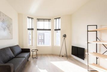 NIEUW! Woonruimte te huur Schiedamseweg, Rotterdam beschikbaar voor biedingen