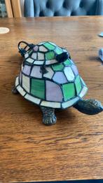 Schildpad met jong 22 cm lang vaste  prijs 65 euro, Ophalen of Verzenden